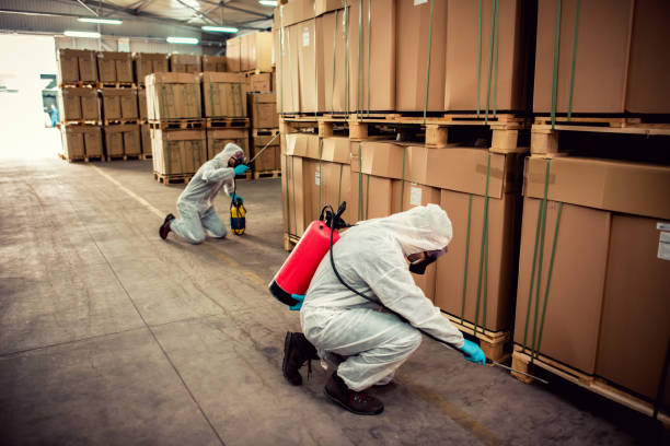 Best Pest Prevention Services  in Gasport, NY