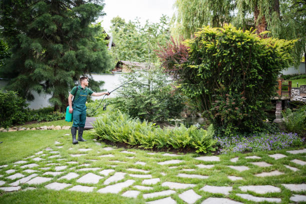 Best Commercial Pest Control Services  in Gasport, NY