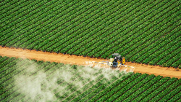 Best Commercial Pest Control Services  in Gasport, NY
