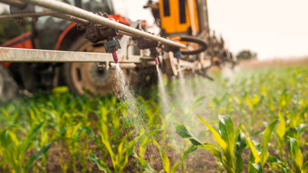 Best Pest Removal Services  in Gasport, NY